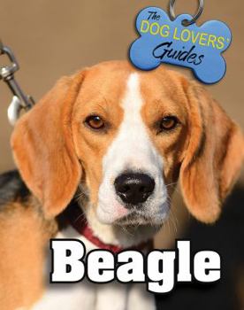 Hardcover Beagle Book