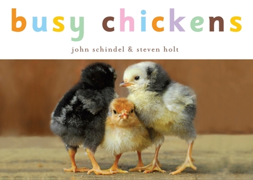 Busy Chickens (Busy Animals) - Book  of the A Busy Book