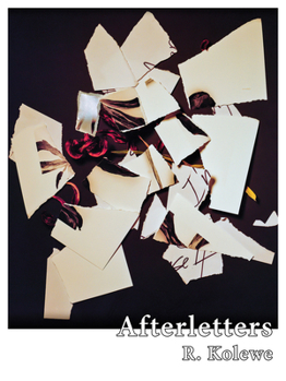 Paperback Afterletters Book
