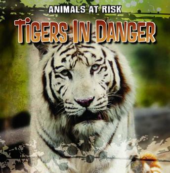 Tigers in Danger - Book  of the Animals at Risk