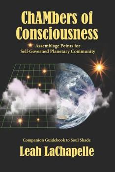 Paperback Chambers of Consciousness: Assemblage Points for Self-Governed Planetary Community Book