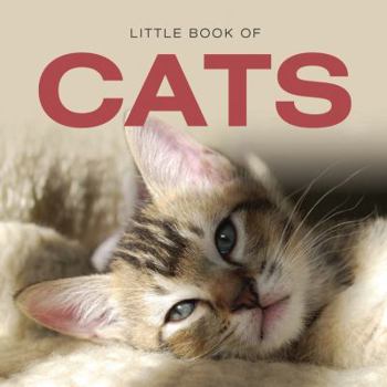 Hardcover Cats Book