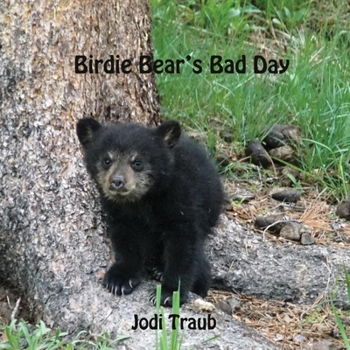 Paperback Birdie Bear's Bad Day Book
