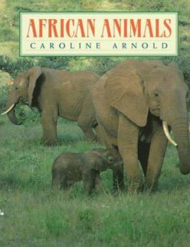 Hardcover African Animals Book