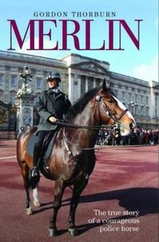 Hardcover Merlin: The True Story of a Courageous Police Horse Book