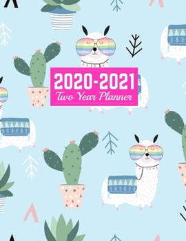 2020-2021 Two Year Planner: Nifty Jan 1, 2020 to Dec 31, 2021 Weekly & Monthly Planner Calendar and Schedule Organizer Art Cover 00023187