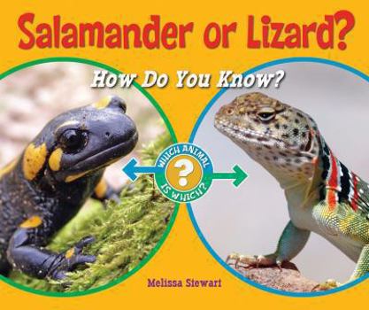 Library Binding Salamander or Lizard?: How Do You Know? Book