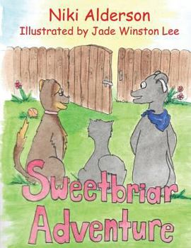 Paperback Sweetbriar Adventure Book