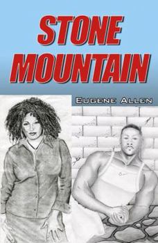 Paperback Stone Mountain Book