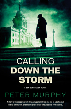 Calling Down the Storm - Book #5 of the Ben Schroeder