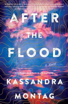 Hardcover After the Flood Book