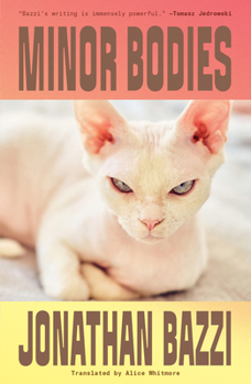 Paperback Minor Bodies Book