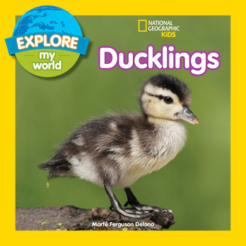 Ducklings - Book  of the Explore My World