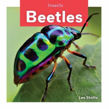 Beetles - Book  of the Insects