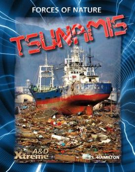 Library Binding Tsunamis Book