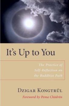 Hardcover It's Up to You: The Practice of Self-Reflection on the Buddhist Path Book