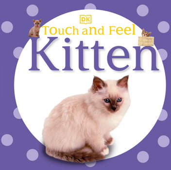 Board book Touch and Feel: Kitten Book