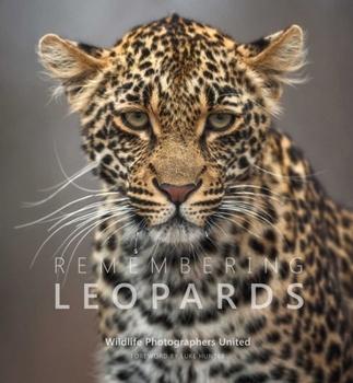 Hardcover Remembering Leopards Book