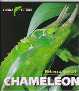 Chameleon (Living Things) - Book  of the Living Things