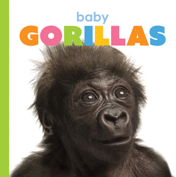 Paperback Baby Gorillas Book