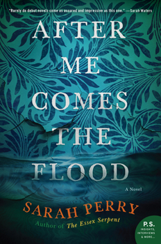 Paperback After Me Comes the Flood Book