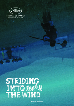 DVD Striding Into The Wind Book