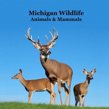 Michigan Animals and Mammals Wildlife Book: Great Michigan Animals book with Lifelike Images and Fun Facts