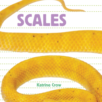 Board book Scales Book