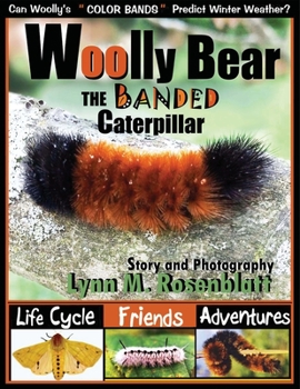 Paperback Woolly Bear the Banded Caterpillar: Life Cycle, Friends and Adventures Book
