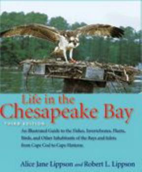 Paperback Life in the Chesapeake Bay Book