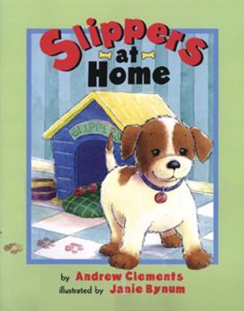 Hardcover Slippers At Home Book