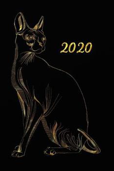 Paperback 2020: Calendario e Agenda settimanale 2020 + calendario mensile + 20 pagine Indirizzi +20 pagine foderate +20 pagine Blanco [Italian] Book