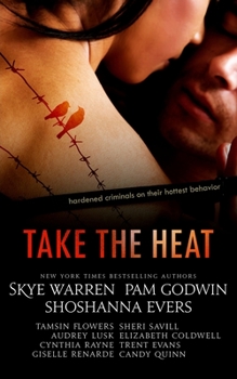 Take the Heat: A Criminal Romance Anthology