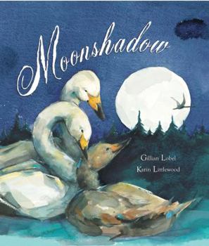Paperback Moonshadow Book