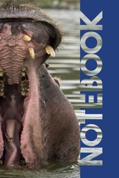 Notebook: Orthodontist Practical Composition Book for Pediatric Dentistry