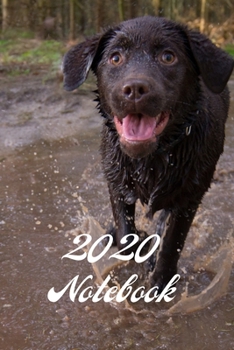 2020 Notebook: A5 (6 x 9 Inches) Notebook Journal Diary. High Quality Hand Writing Journal with 100 Pages