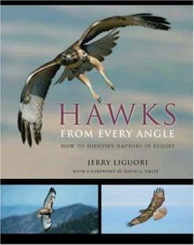 Hardcover Hawks from Every Angle: How to Identify Raptors in Flight Book