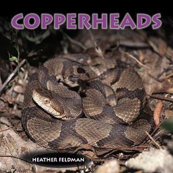 Paperback Copperheads Book