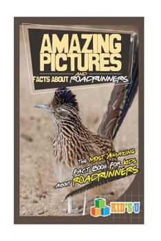 Paperback Amazing Pictures and Facts about Roadrunners: The Most Amazing Fact Book for Kids about Roadrunners Book