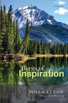 Paperback Bursts of Inspiration Book