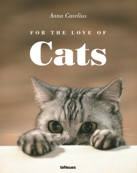 Hardcover For the Love of Cats Book