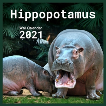 Paperback Hippopotamus 2021 Wall Calendar: calendar 8.5 x 8.5 glossy paper 16 Month Calendar Animal 2021 hippopotamus Book