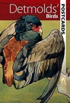 Cards Detmolds' Birds Postcards Book