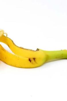 Banana Peel Notebook