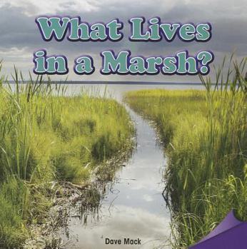 Paperback What Lives in a Marsh? Book