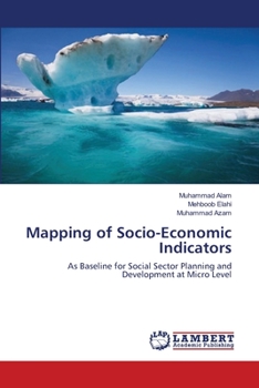 Paperback Mapping of Socio-Economic Indicators Book