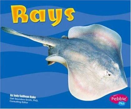 Hardcover Rays Book
