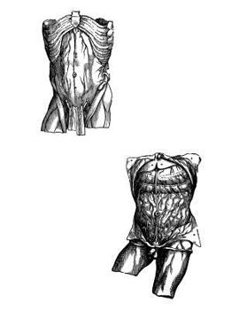 Anatomy Notebook: Peritoneum - Andreas Vesalius Anatomy Art College Ruled Notebook | 110 Pages (Andreas Vesalius White Cover)
