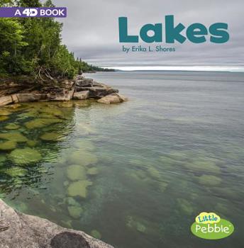 Hardcover Lakes: A 4D Book