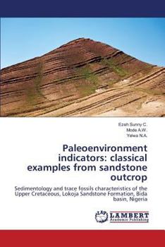 Paperback Paleoenvironment indicators: classical examples from sandstone outcrop Book